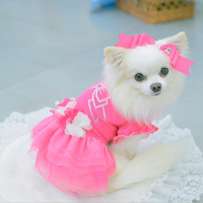 犬服 春 夏 ワンピース  キャンナナ チュールバレリーナワンピース SS-Lサイズ 小型犬 ピンク 新作 ブルー オレンジ Cannana 3月入荷予定の画像