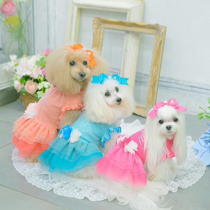 犬服 春 夏 ワンピース  キャンナナ チュールバレリーナワンピース SS-Lサイズ 小型犬 ピンク 新作 ブルー オレンジ Cannana 3月入荷予定の画像