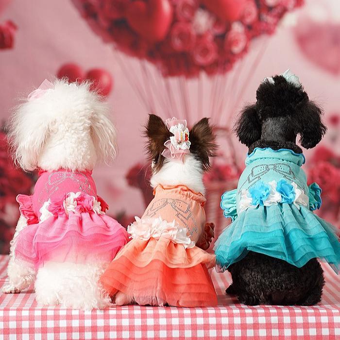 犬服 春 夏 ワンピース  キャンナナ チュールバレリーナワンピース SS-Lサイズ 小型犬 ピンク 新作 ブルー オレンジ Cannana 3月入荷予定の画像