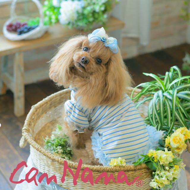 ペット服　キャンナナ　ワンピース　サイズS CanNana 犬服 春 夏 ワンピース キャンナナ ロゴラインストーン