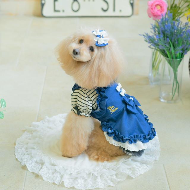 CanNana 犬服 春 夏 ワンピース キャンナナ ロゴラインストーン