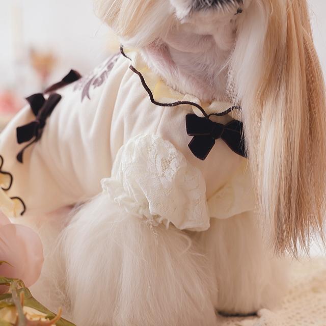 犬服 冬 ドレス【きゃんナナ】ローズストロベリー起毛ワンピース 小型犬 inu 犬 ピンク オフホワイト グレージュ クリーム アイボリー | CanNana | 13