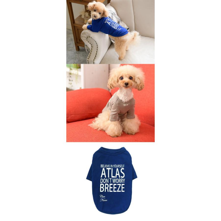 CanNana オールシーズン【きゃんナナ】適温キープ・カジュアルロンT SS