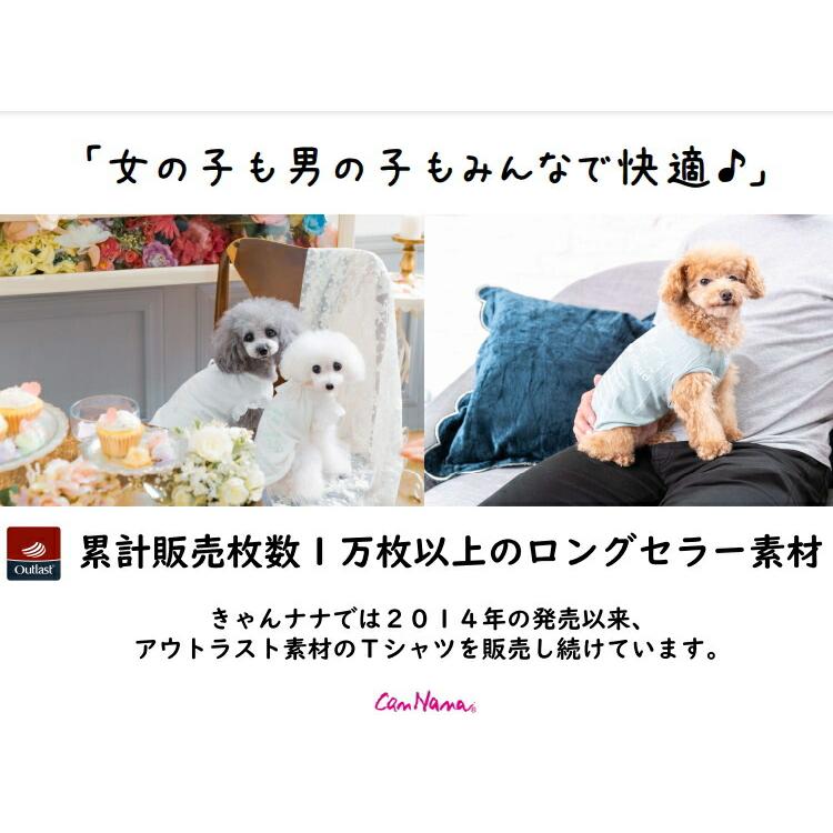 オールシーズン【きゃんナナ】適温キープ・カジュアルロンT SS-Lサイズ 小型犬｜jungle-pet｜05