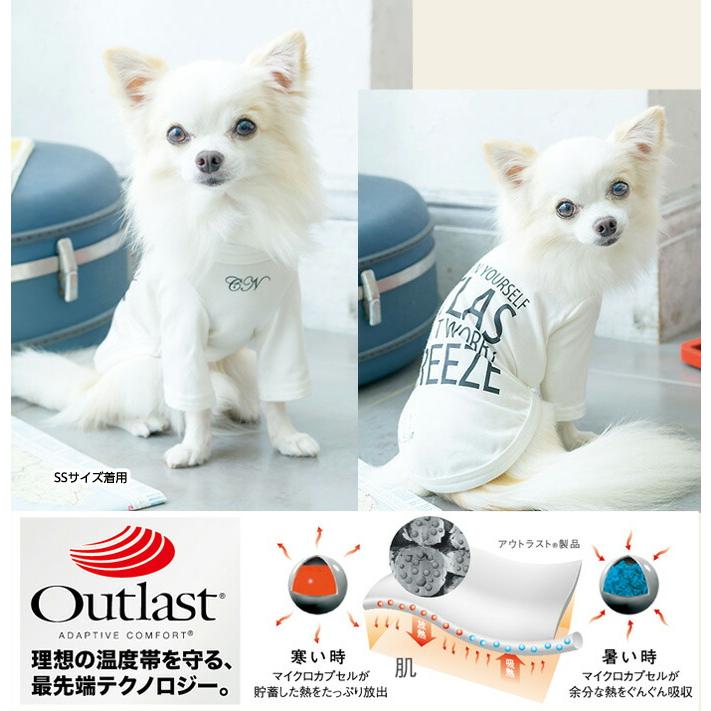 CanNana オールシーズン【きゃんナナ】適温キープ・カジュアルロンT SS