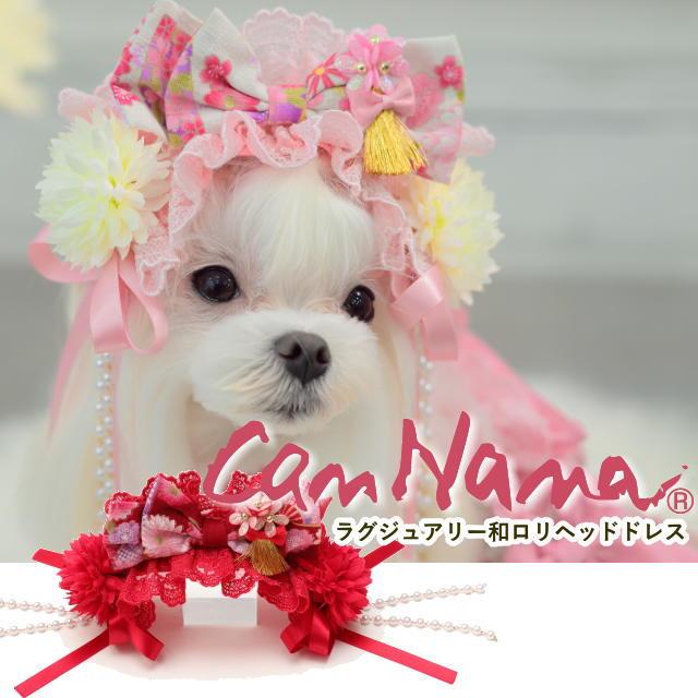 CanNana 新作 犬 リボン 猫 【きゃんナナ】ラグジュアリー和ロリヘッド