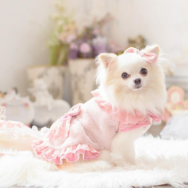 犬 リボン 猫 バレッタリボン アクセサリー りぼん レースグログラン