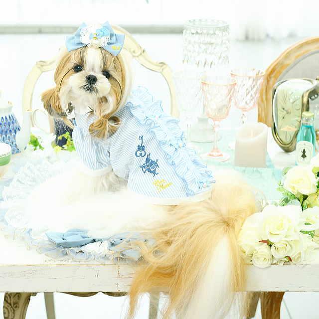 CanNana 春 夏 新作 犬 アクセ 【きゃんナナ】アリスハートビジュー