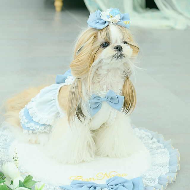 CanNana 春 夏 新作 犬 アクセ 【きゃんナナ】アリスハートビジュー