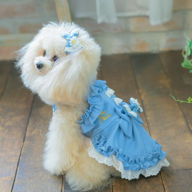 CanNana 新作 犬 リボン 猫 きゃんナナ デニム＆フラワーミニバレッタ