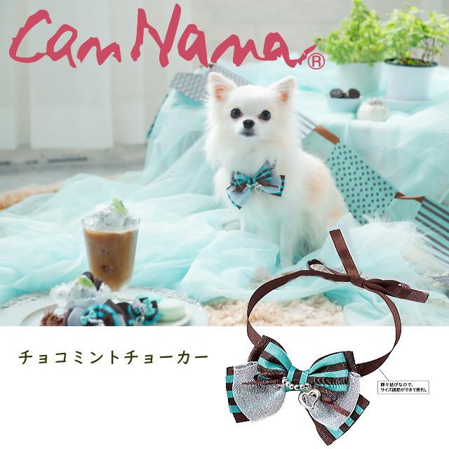 新作 春夏チョコミントネックチョーカー Nch 098 犬服 アクセ Cannana ミント Tvsteinheim De
