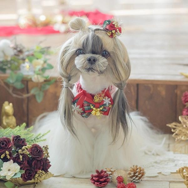 犬 リボン きゃんナナ クリスマス 数量限定 レッドクリスマスリボン