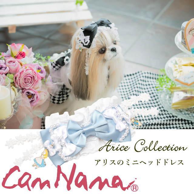 きゃんナナ 犬 アクセ ハロウィン CanNana 【きゃんナナ】不思議の国の