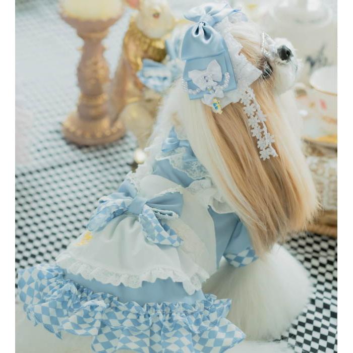 CanNana きゃんナナ 犬 アクセ ハロウィン 【きゃんナナ】不思議の国の