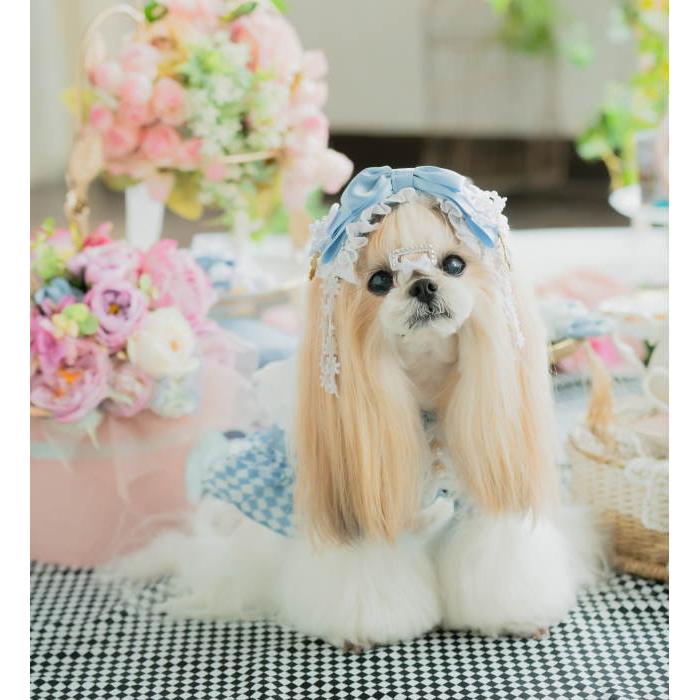 CanNana きゃんナナ 犬 アクセ ハロウィン 【きゃんナナ】不思議の国の