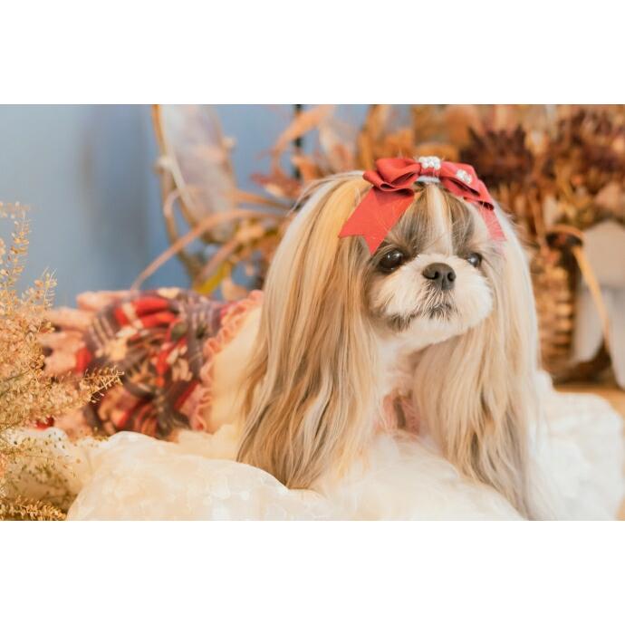 CanNana 姫リボン 犬アクセ 犬のアクセサリー 犬のリボン 【きゃんナナ