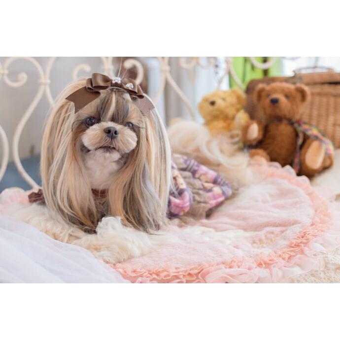 CanNana 姫リボン 犬アクセ 犬のアクセサリー 犬のリボン 【きゃんナナ