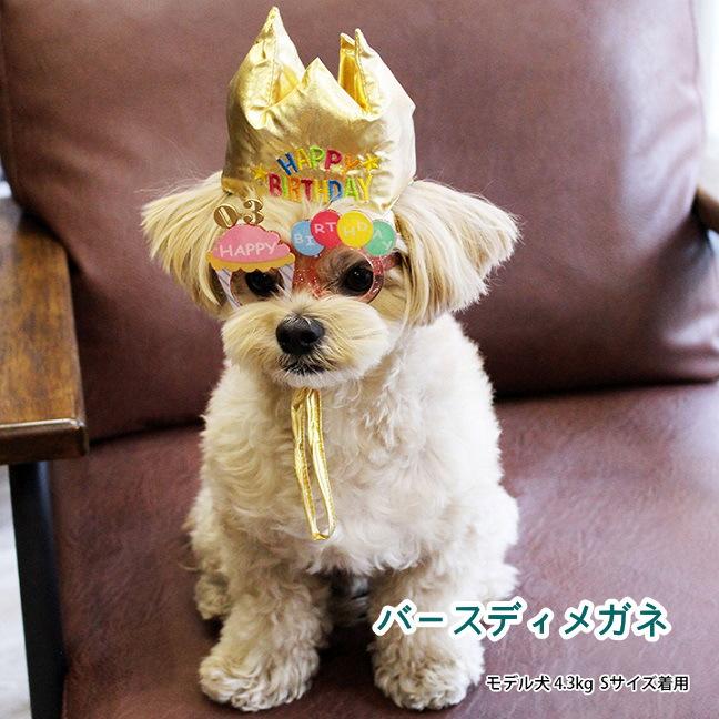 犬のメガネ Life Like バースデーメガネ Sサイズ 誕生日 イベント パーティ Life Like75r003 じゃんぐるぺっと 通販 Yahoo ショッピング