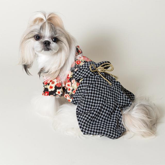 袴 男子 SSサイズのみ 超小型犬　小型犬