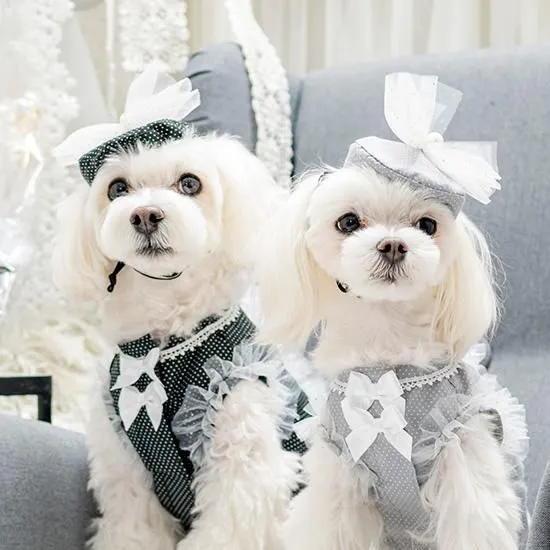 LULUDOLL ルルドール ドットチュールベレー帽 犬 猫 帽子 アクセ 
