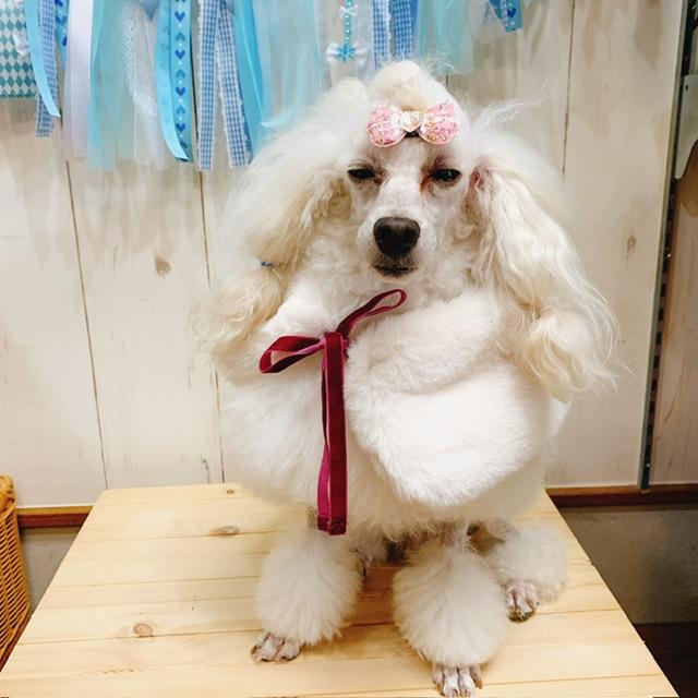 ファー ティ ペット 犬 ファー ティペット ベスト ドッグウェア 犬用品