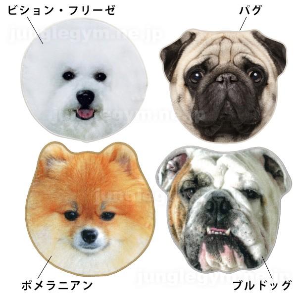 リアルモチーフタオル 犬雑貨 犬グッズ ビションフリーゼ パグ ポメラニアン ブルドッグ ゴールデンレトリバー トイプードル チワワ Hm Rmt Dog2 かわいい雑貨通販ジャングルジム 通販 Yahoo ショッピング