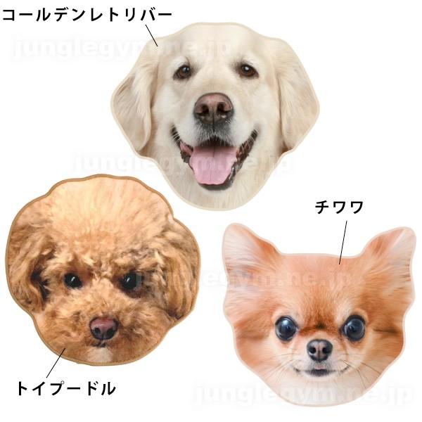 リアルモチーフタオル 犬雑貨 犬グッズ ビションフリーゼ パグ ポメラニアン ブルドッグ ゴールデンレトリバー トイプードル チワワ Hm Rmt Dog2 かわいい雑貨通販ジャングルジム 通販 Yahoo ショッピング