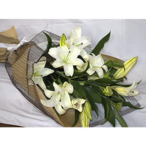 Puriza 生花花束 ゆり ユリカサブランカの花束 百合の女王 祝福 市場直送 鮮度抜群 100輪の花束 生花花束 ジュンジュンパワー 白い大輪ユリ カサブランカのみでお作りした 光り輝くような純白の花束です ユリの女王 とも称される高貴な A B08y4b4mhz