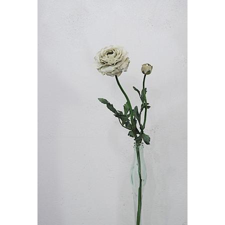 フェイクグリーン リアル おしゃれ 造花 ディスプレイ 飾り レトロ アンティーク調 グレイッシュ ラナンキュラス2 Gd4 Junk Rustic Colors Yahoo 店 通販 Yahoo ショッピング