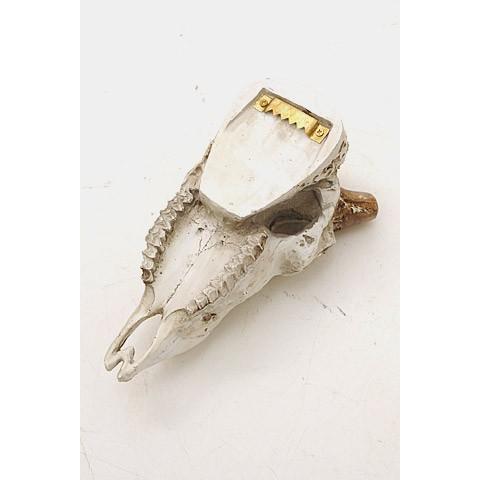 壁飾り 壁掛け オブジェ インテリア スカル ヤギ 山羊 レトロ 