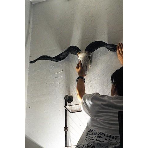壁飾り 壁掛け オブジェ インテリア スカル ヤギ 山羊 レトロ アンティーク調 ゴートスカルバフォメット