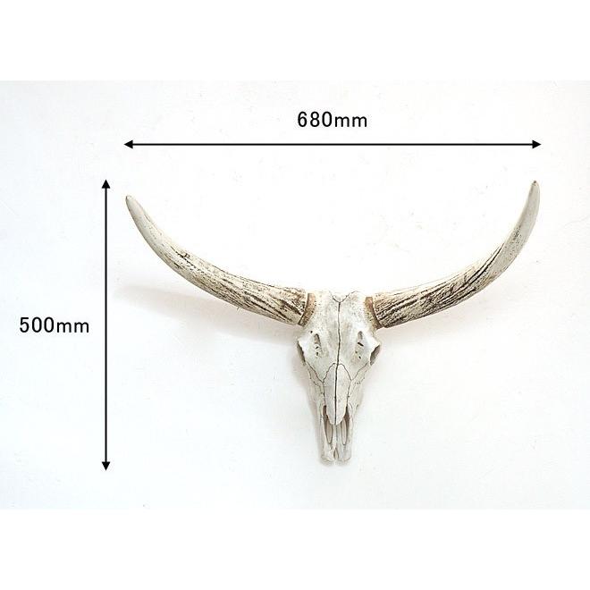 壁飾り 壁掛け オブジェ インテリア スカル バッファロー 水牛 レトロ アンティーク調 バッファロースカルミノタウロス