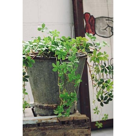 ミリタリー ゴミ箱 おしゃれ バケツ 鉢カバー インダストリアル レトロ