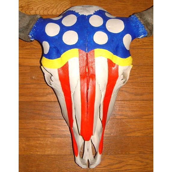 貴重】バッファロースカル 本物 牛 インテリア ビッグホーン60cm×60cm