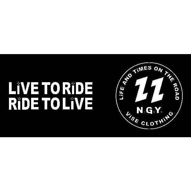 VISE レッドテイル バイカー仕様 肉厚 リバースウィーブ スウェット