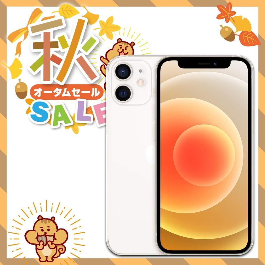 中古 バッテリー90%以上 Apple docomo SIMロック解除済み iPhone12