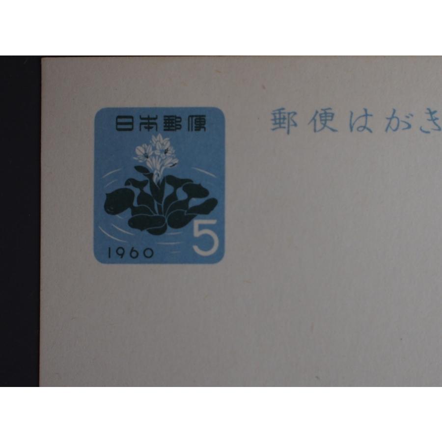 当時物 アンティーク 日本郵政 日本郵便 ５円葉書 ハガキ はがき 1960年 表面:水芭蕉 水草 ホテイ草 浮草 裏面:露草 つゆくさ No.3210｜junkyardchikuwa｜02