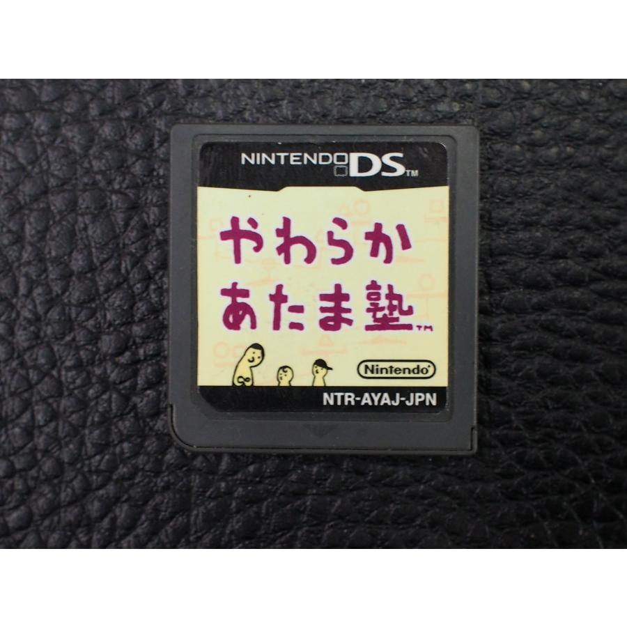 NINTENDO 任天堂 DS カセット nintendo やわらかあたま塾 型式： NTR