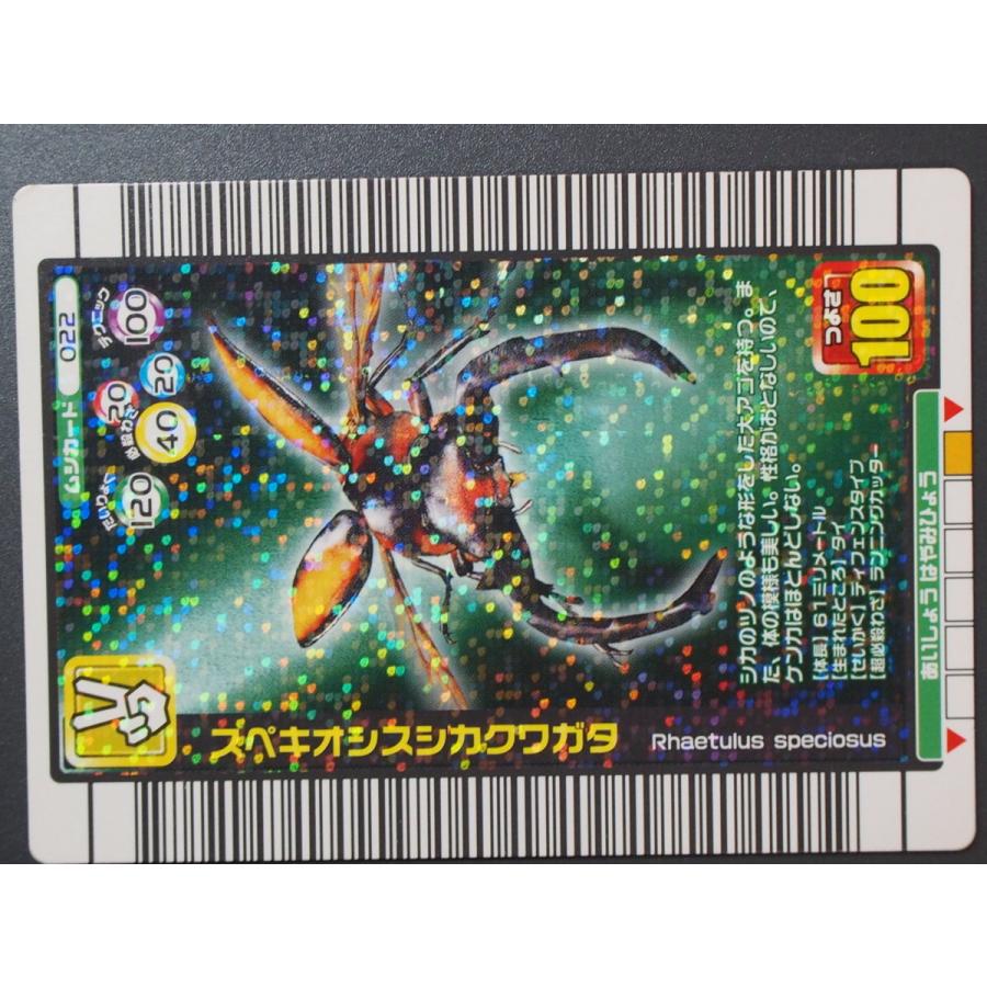 甲虫王者ムシキング 2005年夏限定デザインカード ムシカード 022