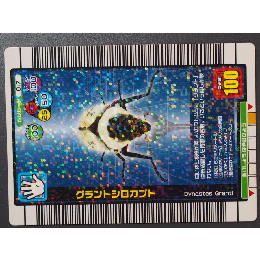甲虫王者ムシキング 2004年夏限定デザインカード ムシカード 甲虫王者ムシキング 2004年夏限定デザインカード ムシカード