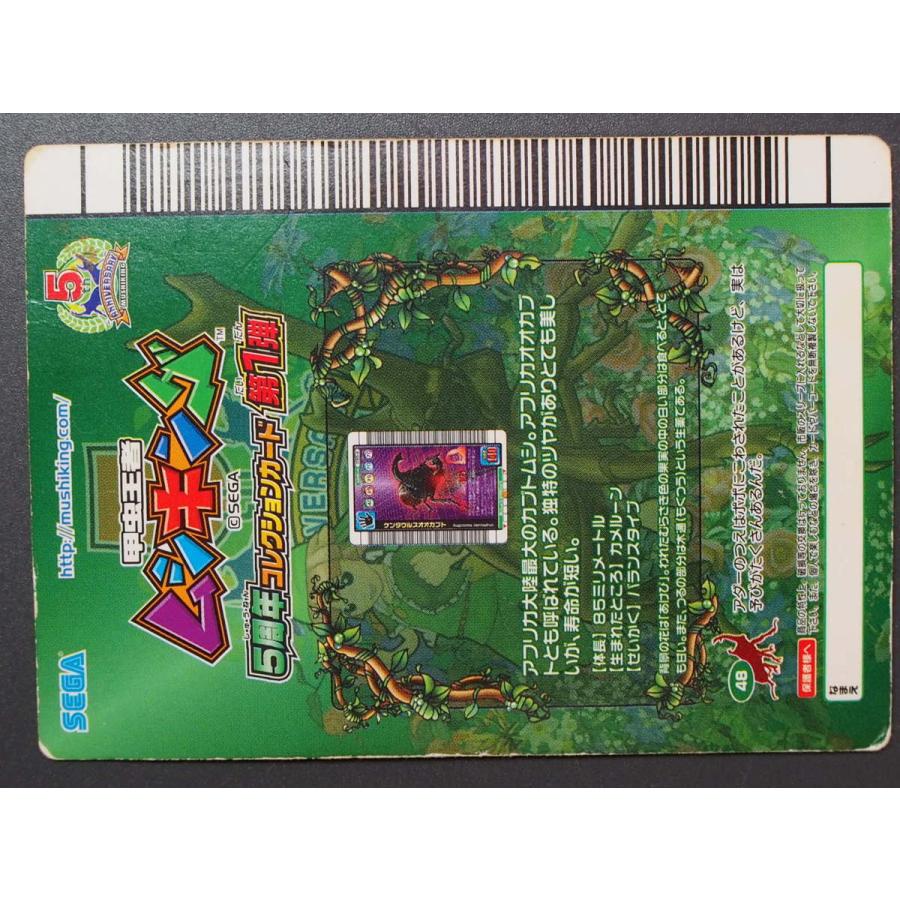 甲虫王者ムシキング 5周年コレクションカード 第1弾 甲虫王者ムシキング 5周年コレクションカード 第1弾