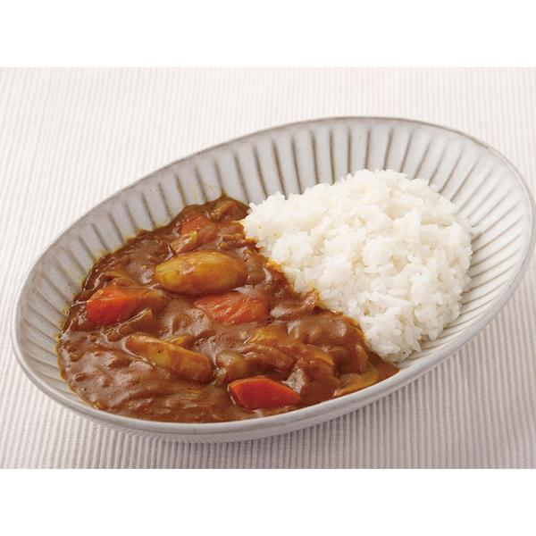 創健社 植物素材 オーガニックカレー (中辛) ルウ 有機 100g(4皿分) |  | 01