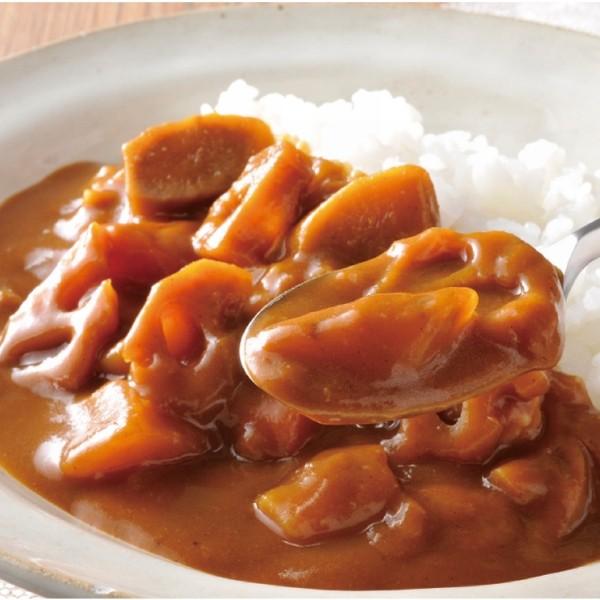 桜井 レトルト ベジタリアンのための根菜カレー 1人前 200g |  | 01