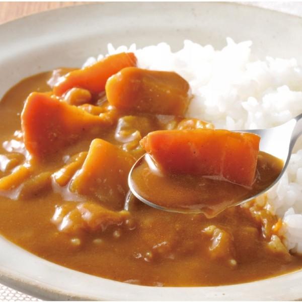 桜井 レトルト ベジタリアンのための野菜カレー 中辛 1人前 200g |  | 01