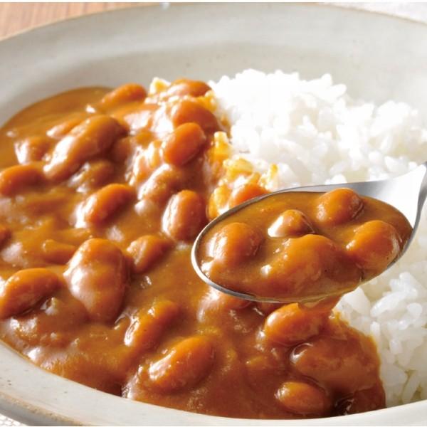 桜井 レトルト ベジタリアンのための豆カレー 中辛 1人前 200g |  | 01
