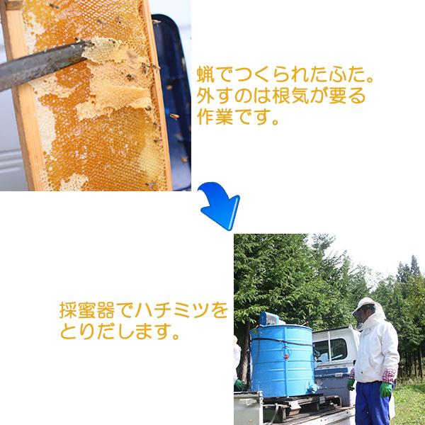 花房養蜂園 高原花房 蜂蜜 はちみつ ハチミツ 150g |  | 04