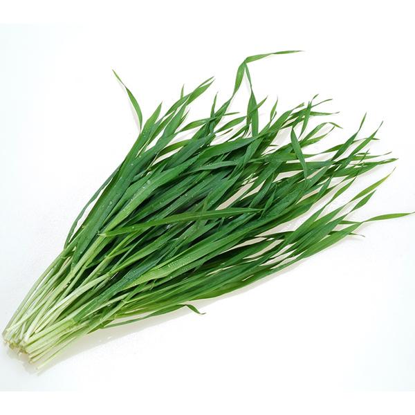 新日配薬品 有機青汁 45g(3g×15包) | 新日配薬品 | 03