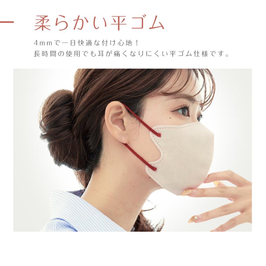 500円クーポン配布中】3Dマスク バイカラーマスク 立体マスク 不織布