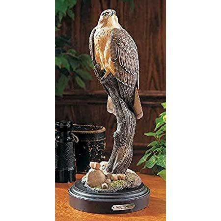 ケース販売 ワイルドウィングス レッドテールホーク彫刻 フィル ガラタス作 日本新販売 Floralsoul Md