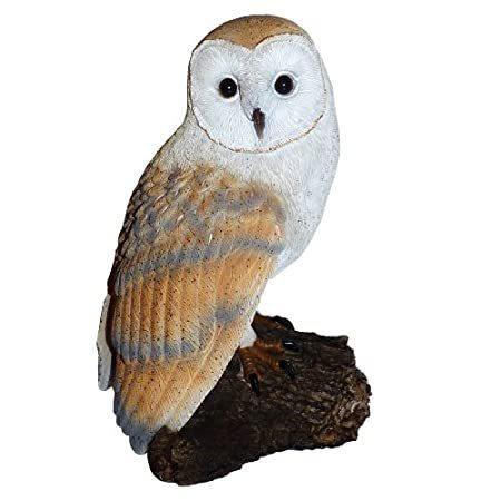 名作 Michael by Stump a on Owl Barn Carr gard for Figurine Owl Outdoor - Designs オーナメント、オブジェ 名作 Michael by Stump a on Owl Barn Carr gard for Figurine Owl Outdoor - Designs オーナメント、オブジェ